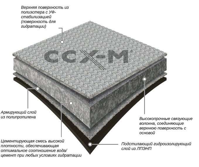 CCXM